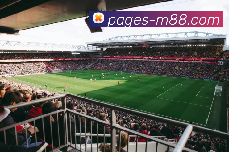 明升M88官网APP 封面图